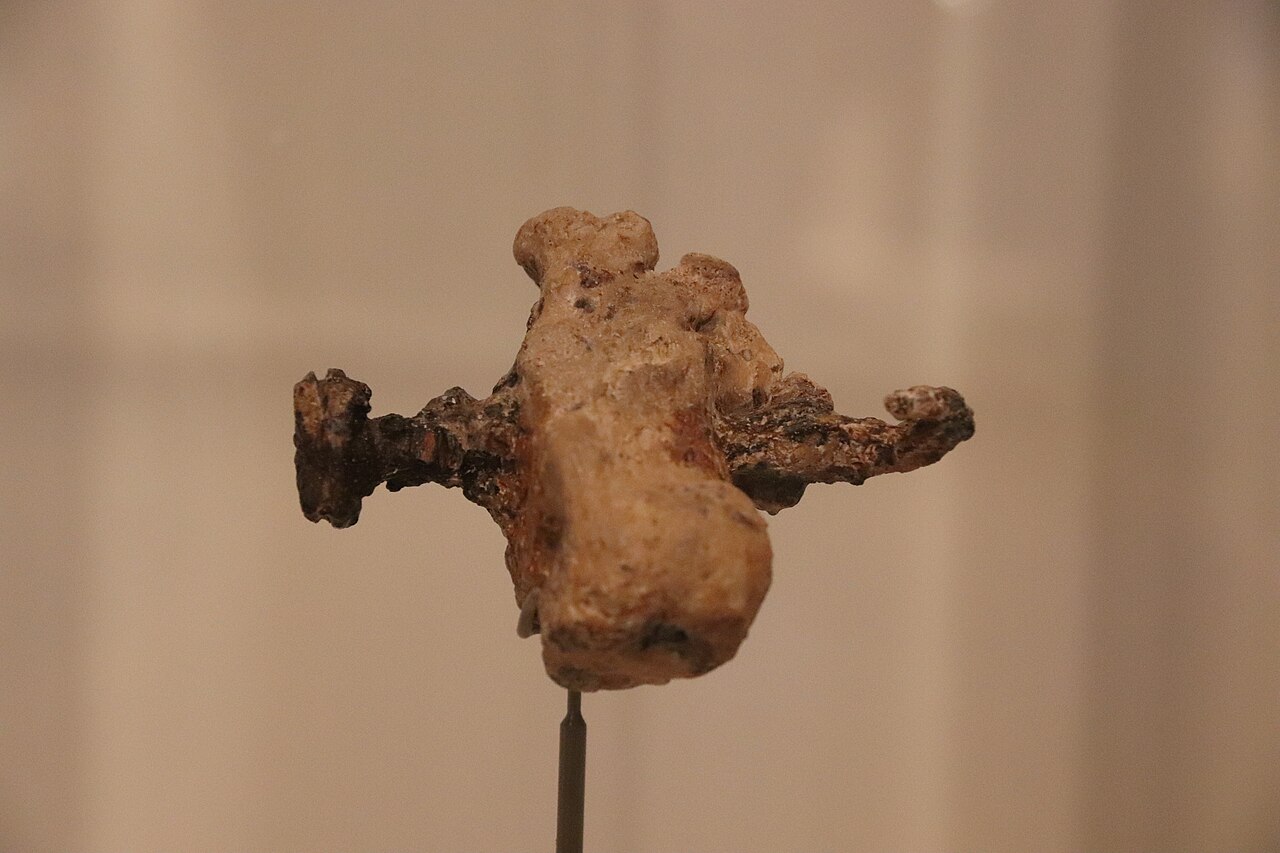 Israel Museum display showing a heel bone and nail associated with Yehohanan.